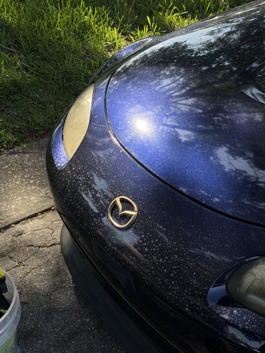 Mazda MX-5 hood before detailing