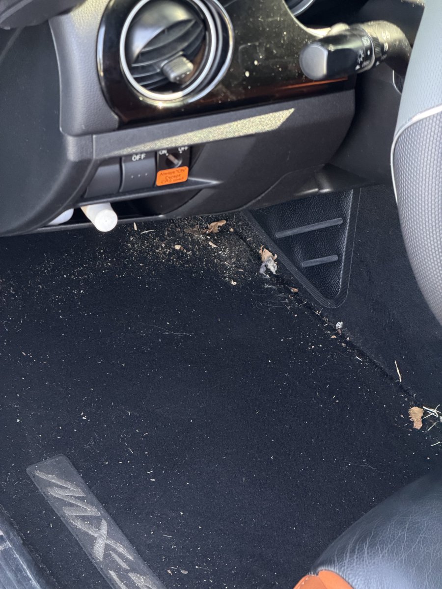 Interior floor before cleaning