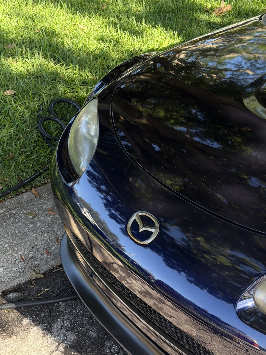 Mazda MX-5 hood after detailing